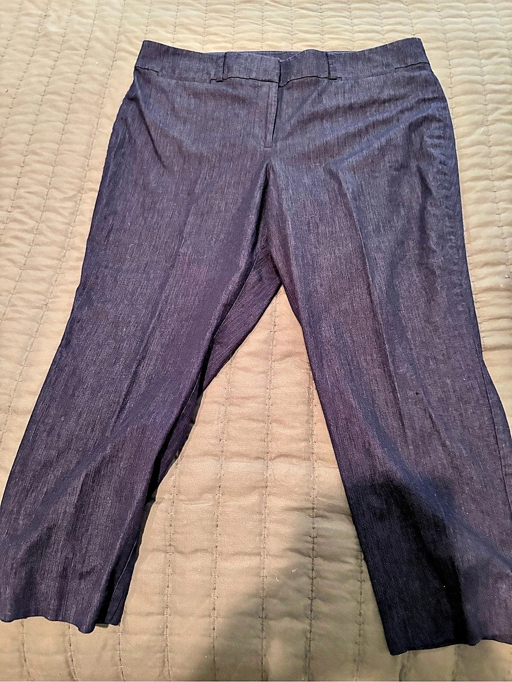 Ann Taylor LOFT Curvy Wide Leg Pants Wide Leg Pants in Purple Size 14P